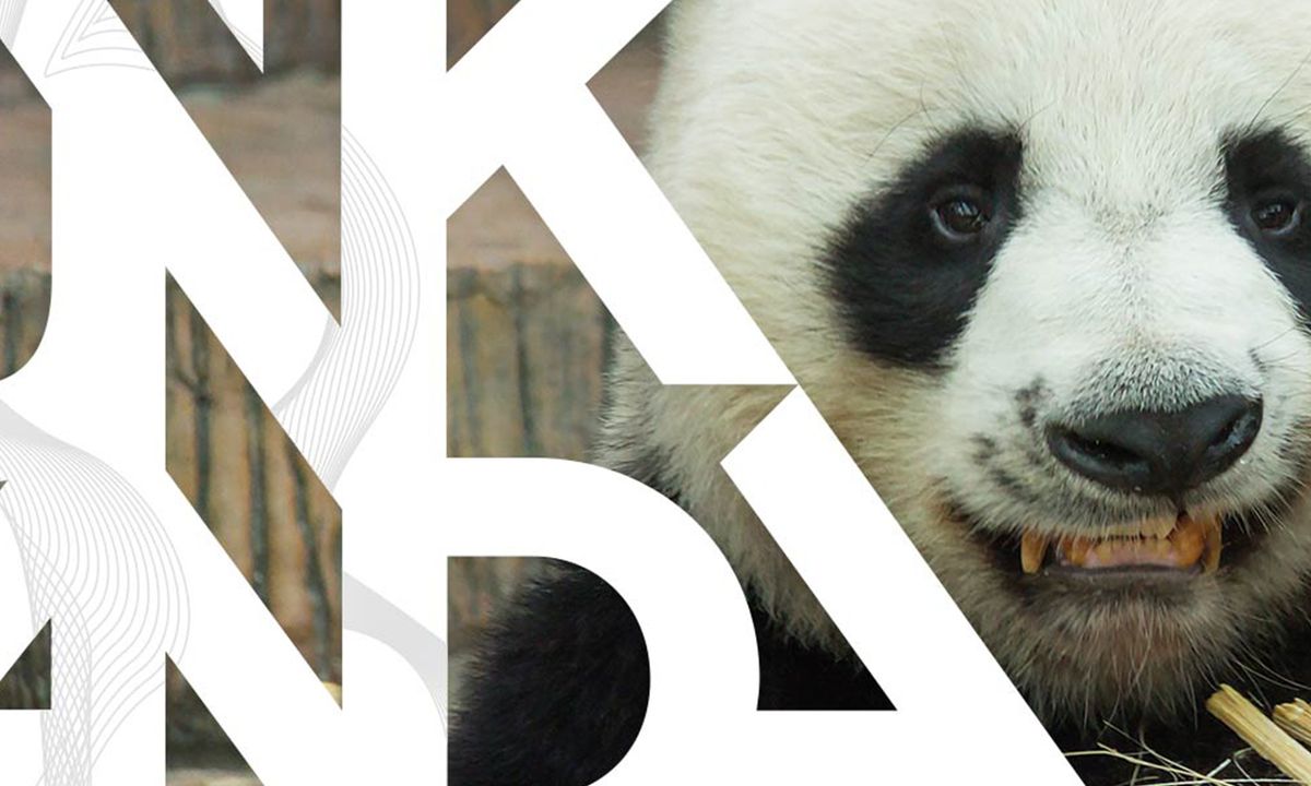 Digital Media S.A. de C.V. Happy Punk Panda. Caso de sucesso